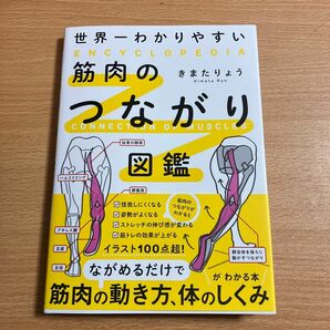 世界一わかりやすい筋肉のつながり図鑑 きまたりょう／著