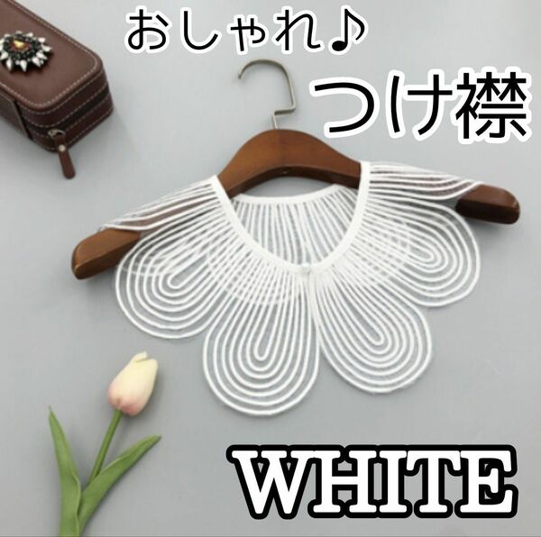 つけ襟　白　ホワイト　可愛い　おしゃれ　スカラップ　韓国　透ける　ネックレス　上品　華やか　高見え　花柄　小顔　 シャツ トップス