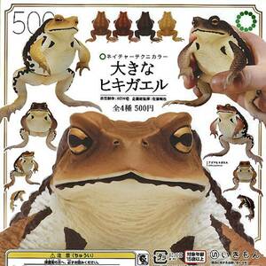 新品！ネイチャーテクニカラー 大きなヒキガエル全4種