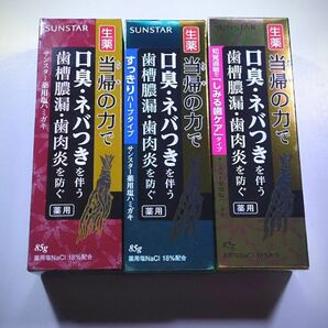 サンスター 当帰の力 薬用 塩ハミガキ／すっきりハーブ／しみる歯ケアタイプ 各1個ずつ合計3個