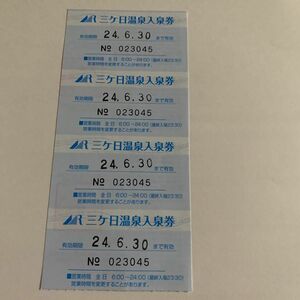 浜名湖レイクサイドプラザホテル　温泉入浴券4枚