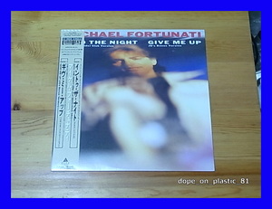 Michael Fortunati / Into The Night / Give Me Up/帯付/5点以上で送料無料、10点以上で10%割引!!!/12'