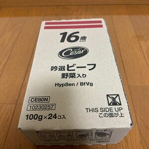 シーザー 16歳からの 吟選ビーフ 野菜入り(100g×24個入)【シーザートレイ】