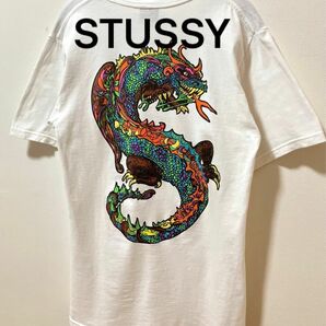 STUSSY ステューシー Tシャツ　丸胴ボディ　ドラゴンデザイン　バッグプリント　メキシコ製