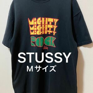 STUSSY ステューシー Tシャツ　丸胴ボディ　ビッグプリントTシャツ　メキシコ製