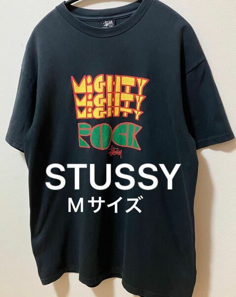 STUSSY ステューシー Tシャツ　丸胴ボディ　ビッグプリントTシャツ　メキシコ製