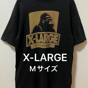 X-LARGE エクストララージ ビッグブランドロゴ　Tシャツ　染み込みプリント　丸胴ボディ　メキシコ製　ペンキ飛散あり