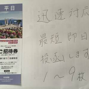  ★198円★送料63円★伊豆シャボテンリゾート★株主優待 券★ニューヨークランプミュージアム＆フラワーガーデン 平日2名様 の画像1