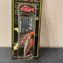 メガバス Megabass POPX ポップX MEGABASS ポップエックス HT HOT SHAD_画像2