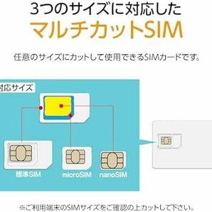 プリペイドSIM 日本 10GB 大容量 ソフトバンク プリペイドSIMカード 日本国内用 SIMカード Softbank Preの画像6