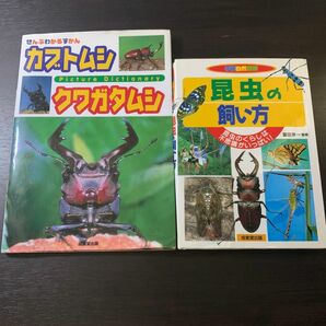 【2冊セット】「カブトムシクワガタムシ」「昆虫の飼い方」