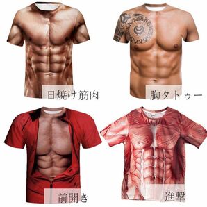 おもしろＴシャツ 3D バラエティーグッズ ジョーク衣装j2 忘年会 新年会 一発ギャグ 仮装 筋肉 半袖 腹筋 m l xl