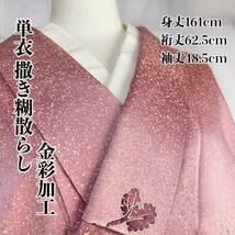 ●きもの翠● 単衣 夏用 小紋 撒き糊散らし 金彩加工 綸子 寿光織 手描き 落ち葉 葉っぱ 和装 和服 着物 正絹 身丈161cm #X256_画像1