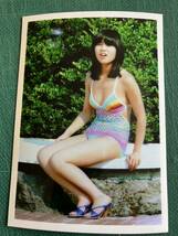 【レア】　石野真子　写真　虹水着　たわわ膨らみ　白肌　昭和タレント　70年代アイドル_画像1