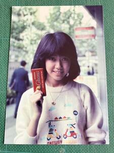 【激レア】松本伊代　写真　ニット　ガーナチョコ　スレンダー　80年代アイドル 