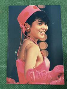 【レア】小泉今日子　写真　背中　赤ドレス　膨らみ　昭和タレント　80年代アイドル 