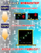 FX 刈り取りスキャルピング 為替相場から無裁量で毎回１～5pipsを刈り取るトレード手法 【デイトレードも可 サインツール シグナルツール】_画像2
