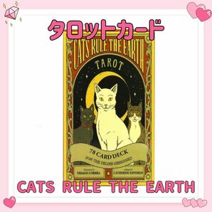 ネコ タロットカード オラクルカード CATS RULE THE EARTH TAROT 占い 占星術 スピリチュアル