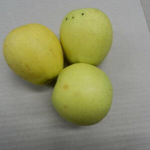 青森県産りんご シナノゴールド・大紅栄 ダンボール入り 約10kg キズ有りの画像4