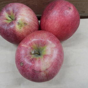 青森県産りんご シナノゴールド・大紅栄 ダンボール入り 約10kg キズ有りの画像3