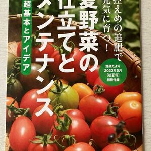 即決 送料込★野菜だより初夏号別冊付録【夏野菜の仕立てとメンテナンス 超基本とアイデア】2023年5月号 付録のみ匿名配送 家庭菜園 野菜作