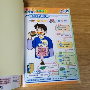 小学6年生 教科書ワーク 理科 東京書籍版 新しい理科 問題集 オールカラー ワーク 小学生 ワーク 自習 家庭勉強 文理の画像5