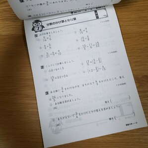 小学6年生 教科書ワーク 特別ふろく 確認テスト 発展テスト 国語 算数 問題集 文理 ドリルの画像8