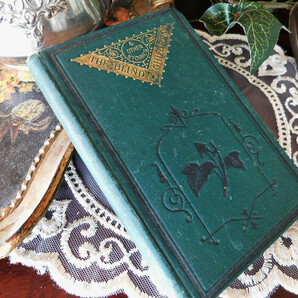 *゜+ 19世紀 ヴィクトリア時代の小説 深緑色の素敵な表紙付き 古書 アンティークブック ヴィンテージ本 洋書 イギリス 英国の画像3