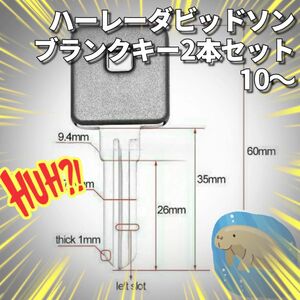 ハーレー　ブランクキー　スペアキー　合鍵　XL ビックツイン　黒　2本セット