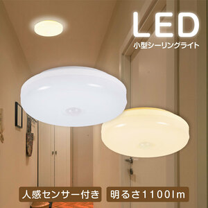  person feeling sensor attaching LED small size ceiling light white LEDCL-GYD01-WH MC