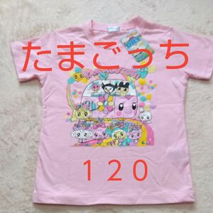 【たまごっち!TAMAGOTCHI☆バンダイBANDAI】120サイズ　半袖シャツ　ピンク こども服 Tシャツ プリント