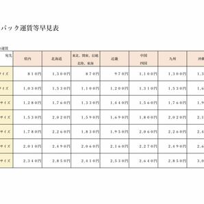 (R4-1) サインボール 宮國椋丞 #30 宮國投手 SEASON SEAT OWNERS ジャイアンツ GIANTS 巨人 読売ジャイアンツ 読売巨人軍 野球 ボールの画像10