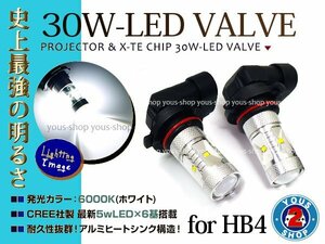 ヴェルファイア前期 ANH20 LEDバルブ HB4 フォグランプ 30W 社外