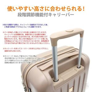 新品 miffy ミッフィー スーツケース 機内持ち込み 小型 Sサイズ かわいい キャリーバッグ HAP2249-48 1泊2泊3泊 フェイス ミルクティ M554の画像6