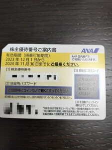 ANA　株主優待券　2024年11月30日迄【即通知可】送料無料