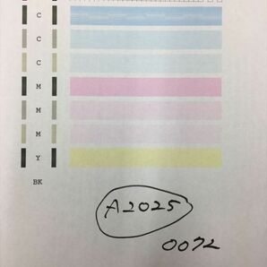 【A2025】プリンターヘッド ジャンク 印字確認済み QY6-0072 CANON キャノン PIXUS iP4600/iP4700/MP630/MP640の画像1