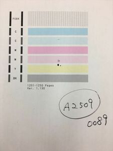 【A2509】プリンターヘッド ジャンク 印字確認済み QY6-0089 CANON キャノン TS5030 /TS5030S/TS6030/TS6130/TS6230/TS6330用