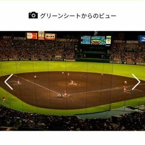 4月27(土)阪神甲子園球場 阪神vsヤクルト グリーンシート 2連番ペアチケットの画像3