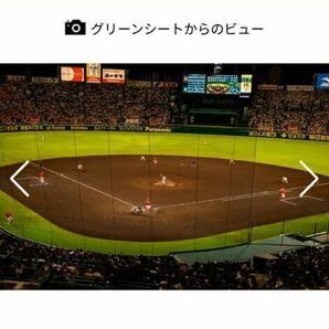 5月28日(火)阪神甲子園球場 阪神vs日ハム グリーンシート 2連番ペアチケットの画像3