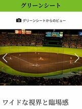 5月17日(金)阪神甲子園球場　阪神vsヤクルト　グリーンシート　2連番ペアチケット_画像4