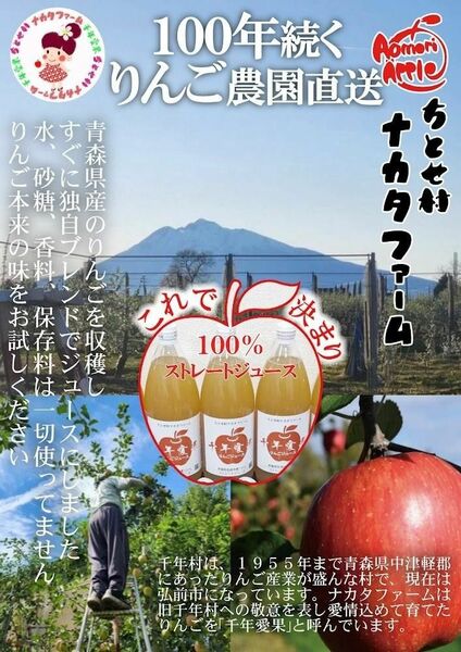 青森県弘前市産直　りんごジュース　無添加　1㍑3本入り　特別ブレンド