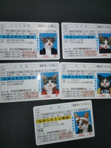なめ猫 免許証 平成版 5枚