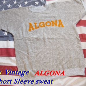 70's～80’ｓ Vintage ALGONA Short Sleeve Sweat/ビンテージ/半袖スウェット/フロッキープリント/カレッジ/ショートスリーブ/トレーナーの画像1