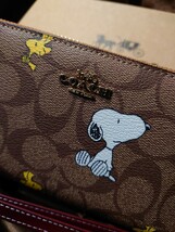 【1スタ】C-472 新品 【COACH X PEANUTS】ロング ジップ アラウンド ウォレット・シグネチャー・スヌーピー ウッドストック 並行輸入品_画像3