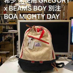 値下げ 希少 未使用 GREGORY x BEAMS BOY 別注 BOA MIGHTY DAY