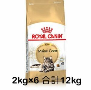 ロイヤルカナン メインクーン 成猫用 2kg×6個