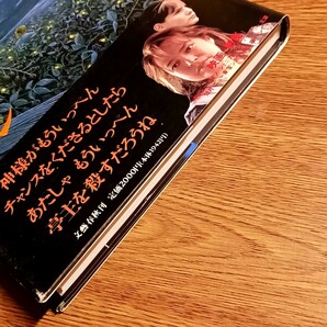 ドロレス・クレイボーン スティーヴン・キング著 文藝春秋・1995年 単行本 ホラー／ミステリーの画像4