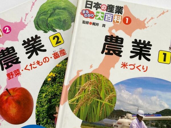 日本の産業まるわかり大百科1/農業1/米づくり/日本の産業まるわかり大百科2/農業2/野菜・くだもの・畜産/2冊セット/梶井貢/送料込/送料無料