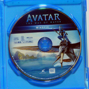 未使用★アバター/ウェイ・オブ・ウォーターDVDのみの画像2