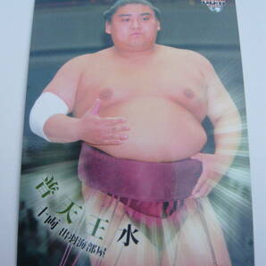 BBM 2010 大相撲カード ＃46普天王水 トレカの画像1